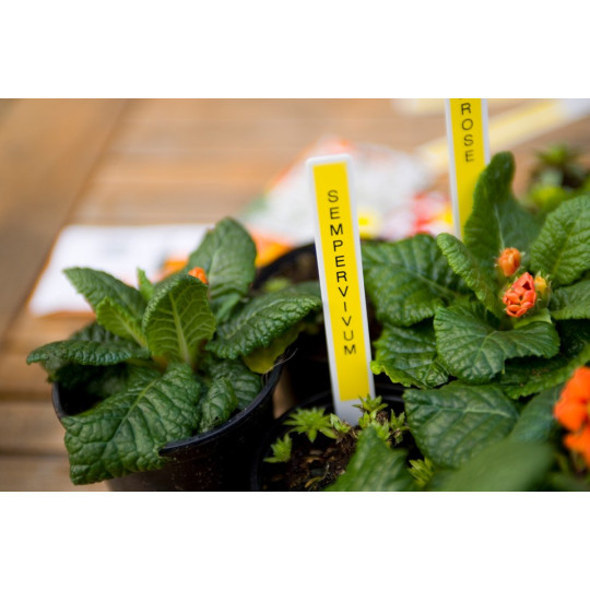 Brother TZe-631 12mm Musta/Keltainen (P-Touch)