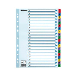 Numerohakemisto 1-20 Esselte Mylar A4 100163