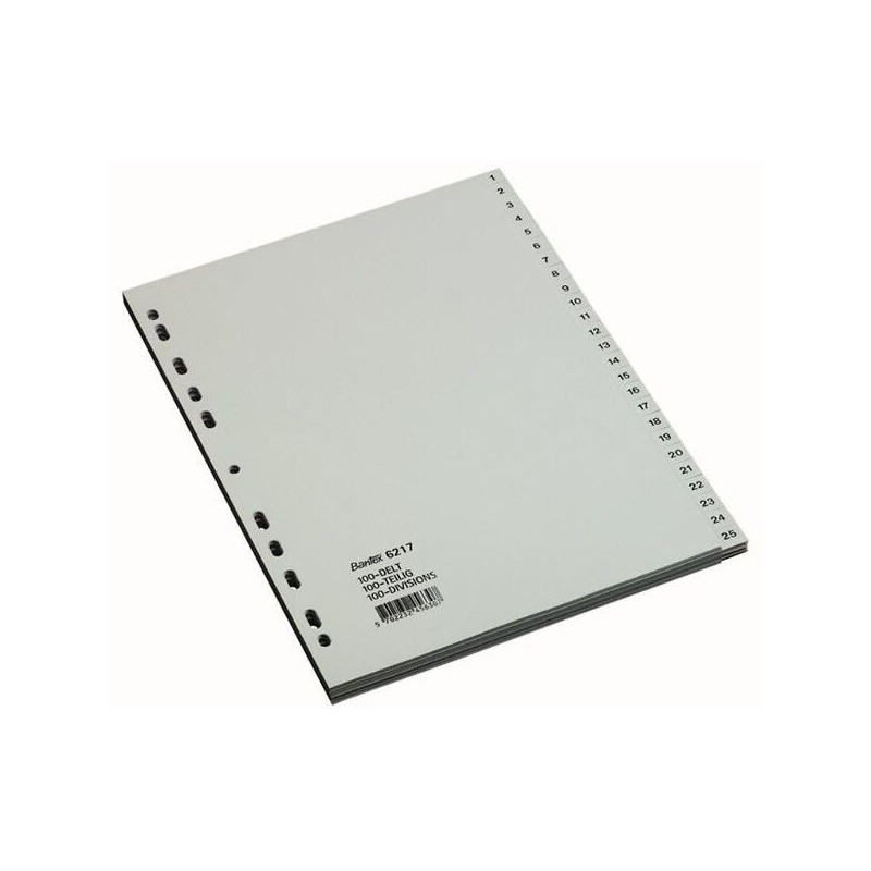 Numerohakemisto 1-100 A4 Muovi