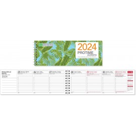 Protime Europa eko 2024 Pöytäkalenteri