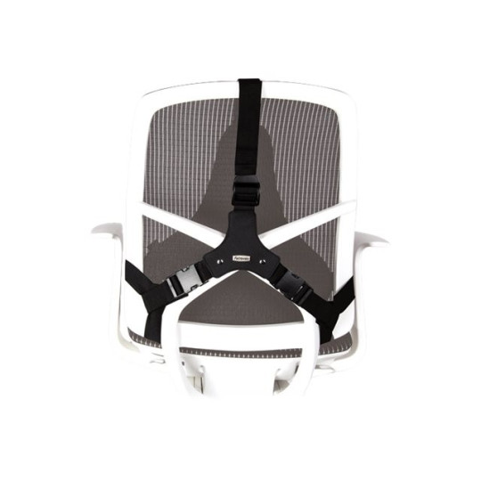 Selkätuki Fellowes Professional Series Ultimate