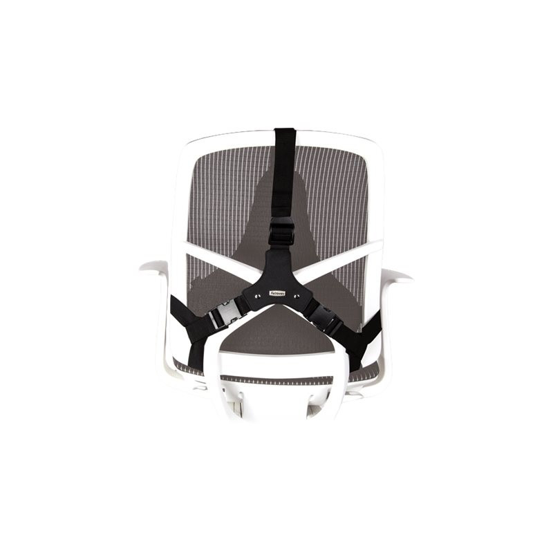Selkätuki Fellowes Professional Series Ultimate
