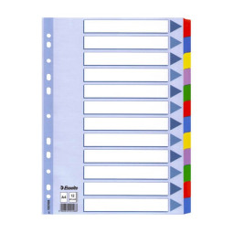 Hakemisto 12-osainen Esselte Mylar