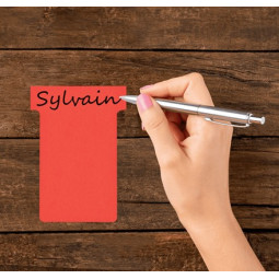 T-kortti 2 Punainen Nobo T-Card /100kpl