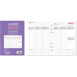 Pöytäleader-vuosipaketti 2025 (6-reikäinen)