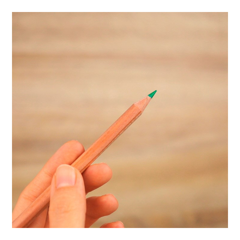 Värikynät 12kpl Tombow Ki-Monogatari Eco