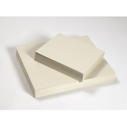 Kasvipaperi 40x48cm /250 arkkia