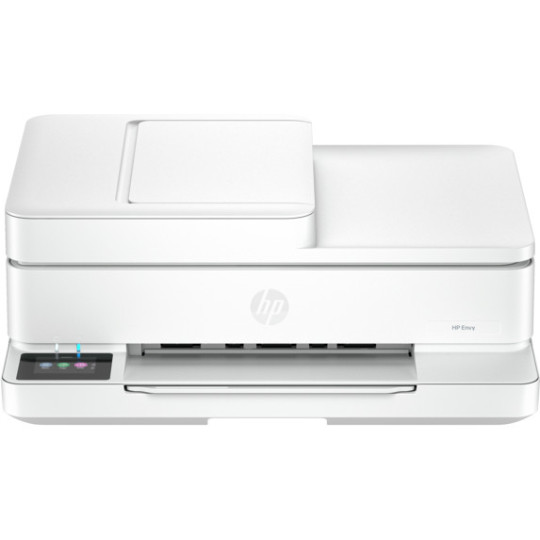 HP No 308 Musta Mustepatruuna
