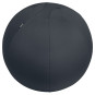 Aktiivipallo 75cm Leitz Ergo