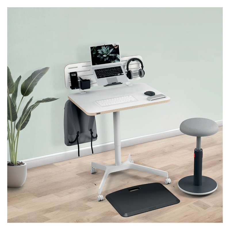 Säilytystaulu Leitz Ergo 42x25cm