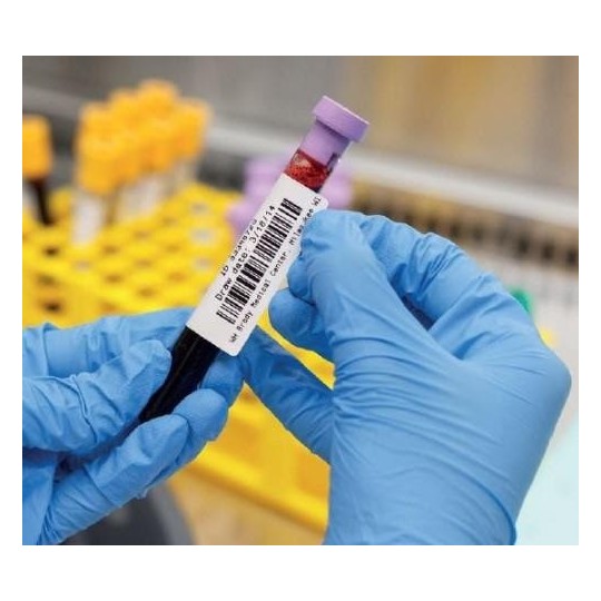 Lämpösiirtotarra 13x38mm Zebra 8100T CryoCool