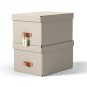 Säilytyslaatikko 17L Leitz Puro /2kpl, maanläheinen beige väri