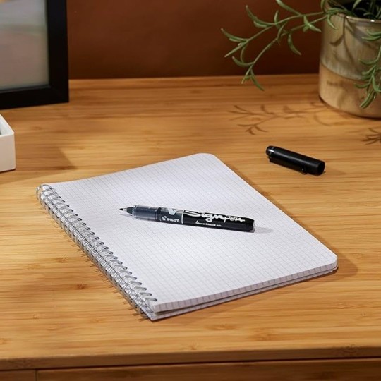 Kuitukynä 04 Pilot V-Sign Pen, laadukas fineliner vahvalla kärjellä