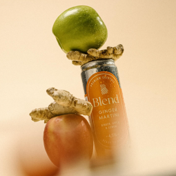 Alkoholiton premium-cocktail Blend Ginger Martini 0,0% 330ml kesän rientoihin ja yritystapahtumiin